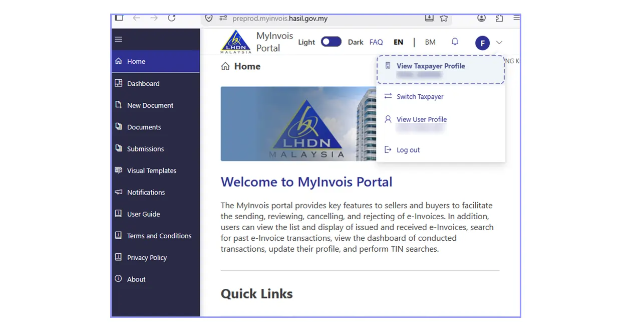 View taxpayer profile